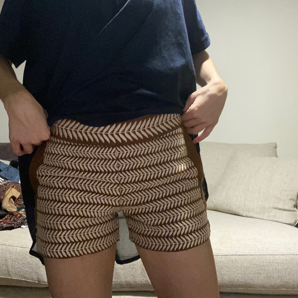 Embroidered shorts (1)